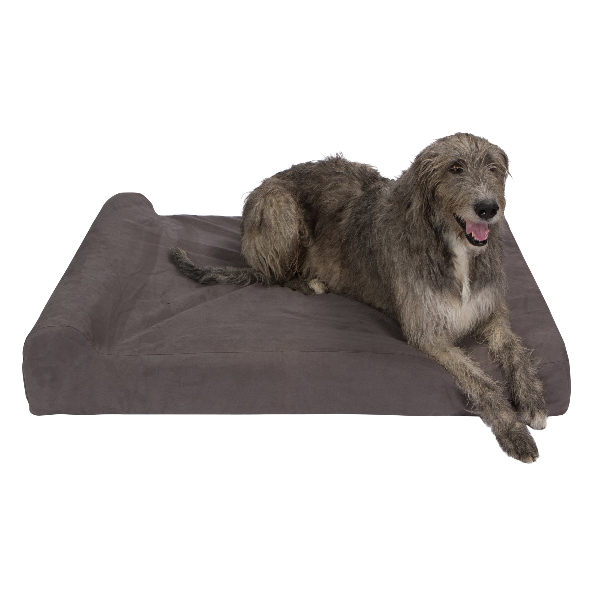 Pet Support Systems Cama ortopédica para perros Lucky Dog de espuma viscoelástica de 7 "con refuerzo - REACONDICIONADA