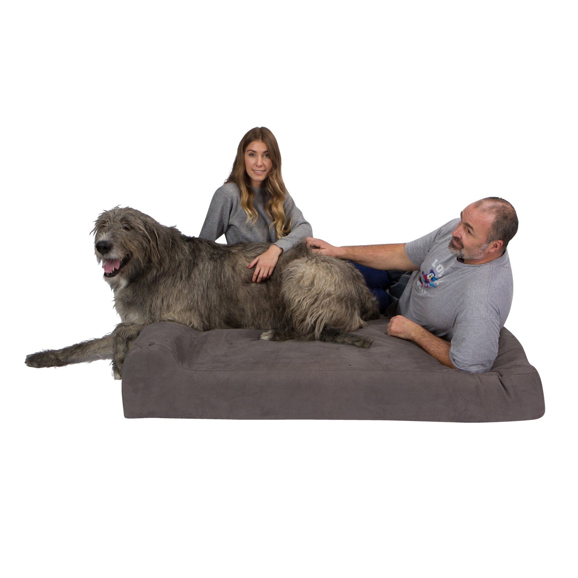 Pet Support Systems Cama ortopédica para perros Lucky Dog de espuma viscoelástica de 7 "con refuerzo - REACONDICIONADA